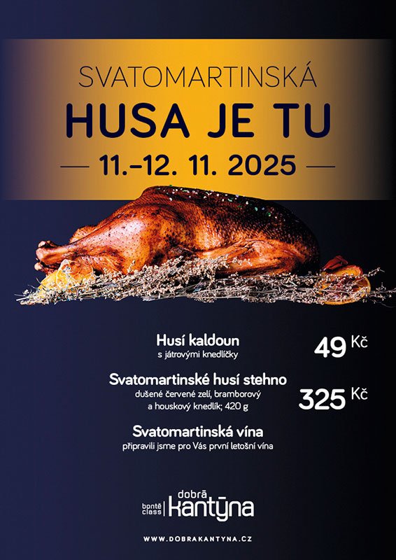 DK_svatomartinska_husa_566x800